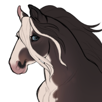 Thumbnail for ID-1704: ٠࣪⭑ tbn