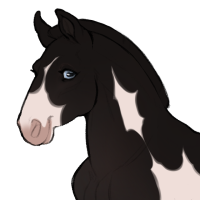 Thumbnail for ID-1706: Arctic