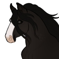 Thumbnail for ID-1719: Shampoo