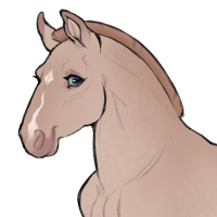 Thumbnail for ID-1721: Parsley