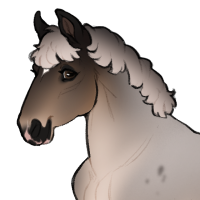 Thumbnail for ID-1758: Skull Merchant