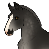 Thumbnail for ID-1768: Twoflower