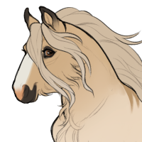 Thumbnail for ID-1775: Das Modell