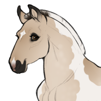 Thumbnail for ID-1786: Grocery List