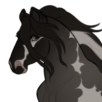 Thumbnail for ID-1818: ٠࣪⭑ tbn