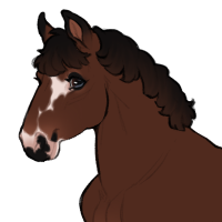 Thumbnail for ID-1826: Torosaurus