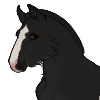 Thumbnail for ID-1835: Nitram