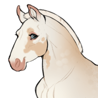 Thumbnail for ID-1839: Ampora