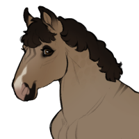 Thumbnail for ID-1847: Cymbidium