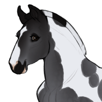 Thumbnail for ID-1864: Shoulder