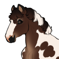 Thumbnail for ID-1876: Pec