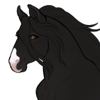 Thumbnail for ID-1913: Black velvet