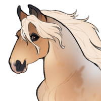 Thumbnail for ID-1932: Cap'n Cook