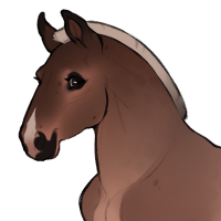 Thumbnail for ID-1945: Greyhound