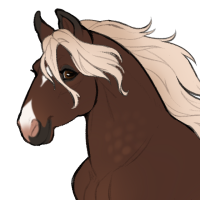 Thumbnail for ID-1954: Shawl