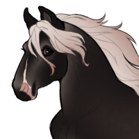 Thumbnail for ID-1981: Bmr Star Shaped Pasta