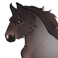 Thumbnail for ID-2005: Matador