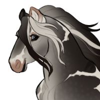 Thumbnail for ID-2057: Grayson