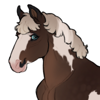 Thumbnail for ID-2105: Chert