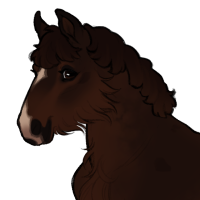 Thumbnail for ID-2165: Fiddlesticks