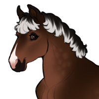 Thumbnail for ID-2230: HH Frosted Tips