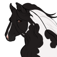 Thumbnail for ID-2248: Dalmatian Pelican