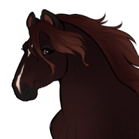 Thumbnail for ID-2263: American Robin