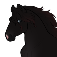 Thumbnail for ID-2264: Northern Raven