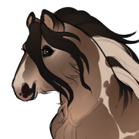 Thumbnail for ID-2275: Captain Jack