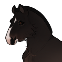 Thumbnail for ID-2293: ZZ Plant