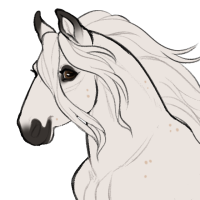 Thumbnail for ID-2298: Philodendron