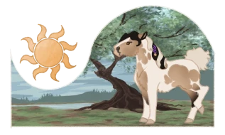 Submission thumbnail