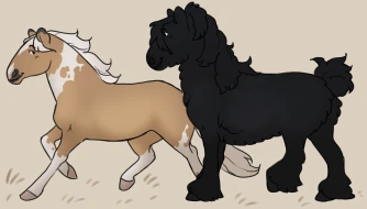 Submission thumbnail