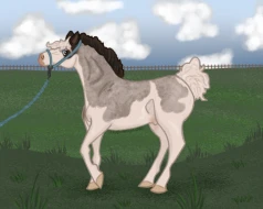 Submission thumbnail
