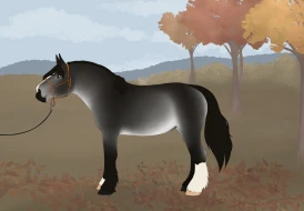 Submission thumbnail