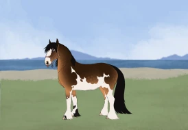 Submission thumbnail