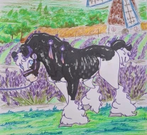 Submission thumbnail