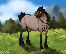 Submission thumbnail