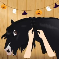 Submission thumbnail