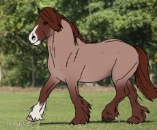 Submission thumbnail