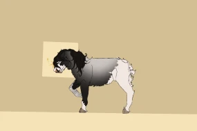 Submission thumbnail