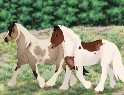 Submission thumbnail