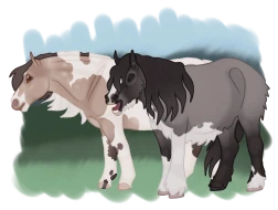 Submission thumbnail