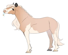 Submission thumbnail