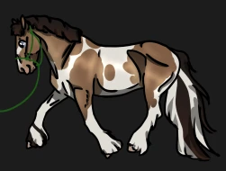 Submission thumbnail