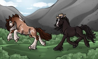 Submission thumbnail