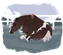 Submission thumbnail