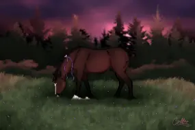 Submission thumbnail