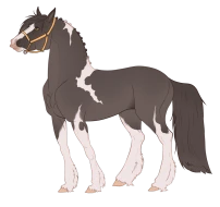 Submission thumbnail