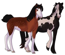 Submission thumbnail